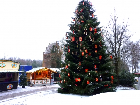 Weihnachtsbaum 