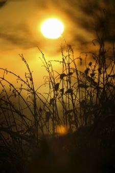 Sonnenuntergang in Roggenmoor