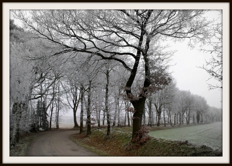 Stellmoorweg