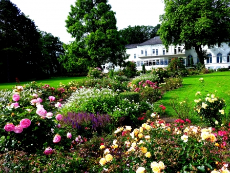 Rosengarten am Alten Kurhaus 