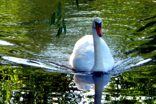 Am Kurpark 