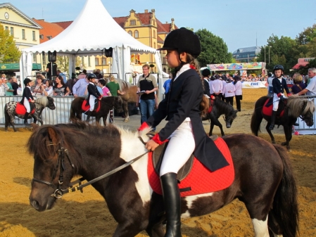 Der Oldenburger Pferdemarkt