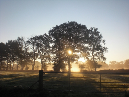 Sonnenaufgang im Nebel