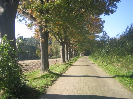 Herbstlicher Spaziergang durch Borgstedte!