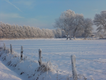 Januar: Winterlandschaft an der Mansholter Strasse