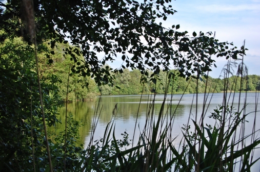 Idylle am Janßensee