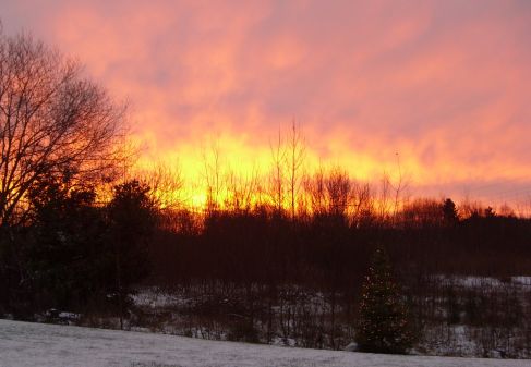 Sonnenaufgang Ekernermoor