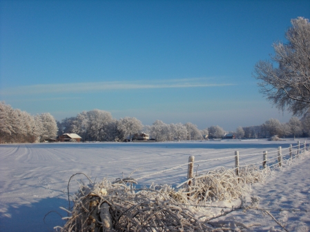 Januar: Winter-Wunderland