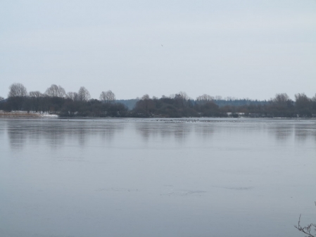 Der Bornhorster See