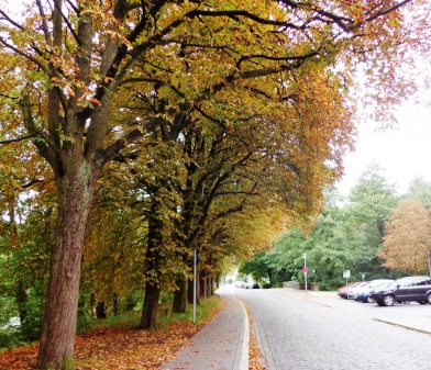 es sieht schon richtig herbstlich aus