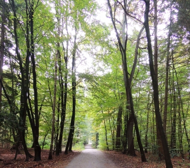 Fast gleiche Wege und doch anders