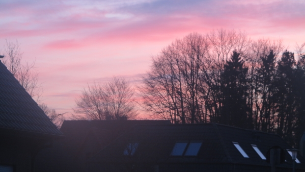 Der Blick aus meinem Arbeitszimmer, morgens um 06:30 