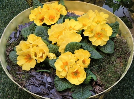 Ganz oft sagt  das Natürliche und Herkömmliche die meisten Worte aus: Es wird wieder mal Frühling!