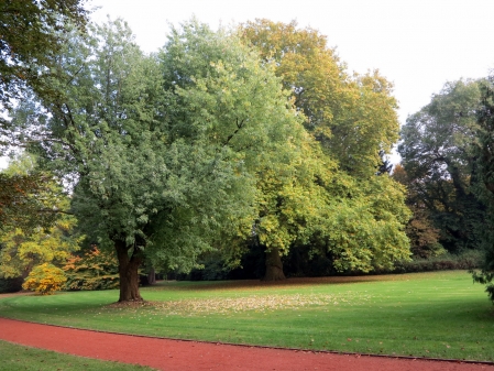 Schlossgarten im Herbst 2016