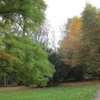 Herbststimmung im Palaisgarten