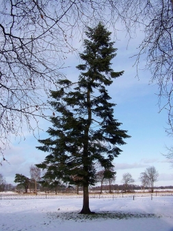 Ein Blick auf´s Land 