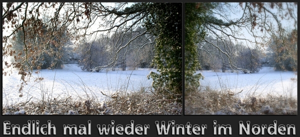 Collage zum Winterthema